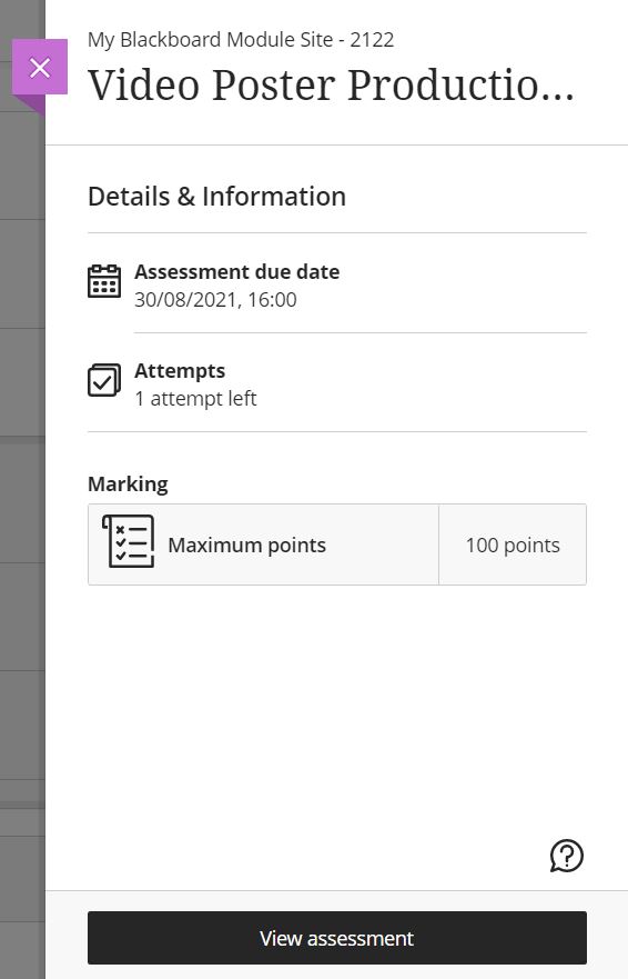 A screenshot of the View Assessment Details and Information window presented when you click on the title of a Blackboard Assignment in Ultra. A black View Assessment button is shown at the bottom of the screen. 