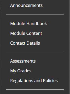 A screenshot of the first part of the navigation links menu found on a Blackboard module site. The list of links is shown on a black background, they are as follows: Announcements, module handbook, module content, contact details, assessments, my rades and regulation and policies.